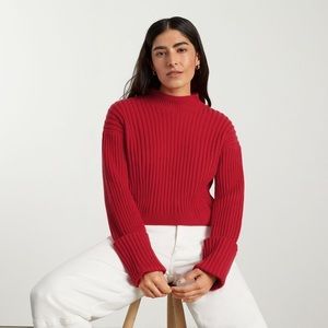 Everlane  The Cotton Ribbed Rollneck Sweater
